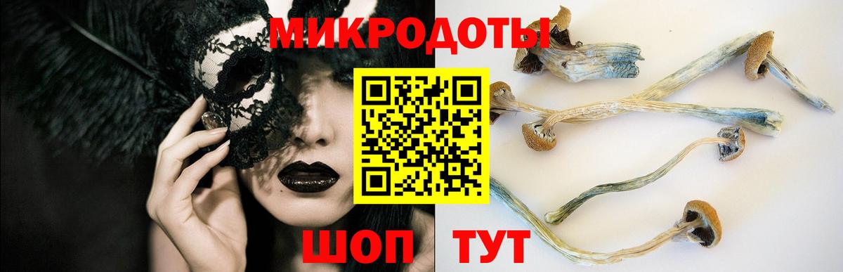 Владивосток  Галлюциногенные грибы Psilocybine cubensis  Вход с VPN  Галлюциногенные грибы Psilocybine cubensis 